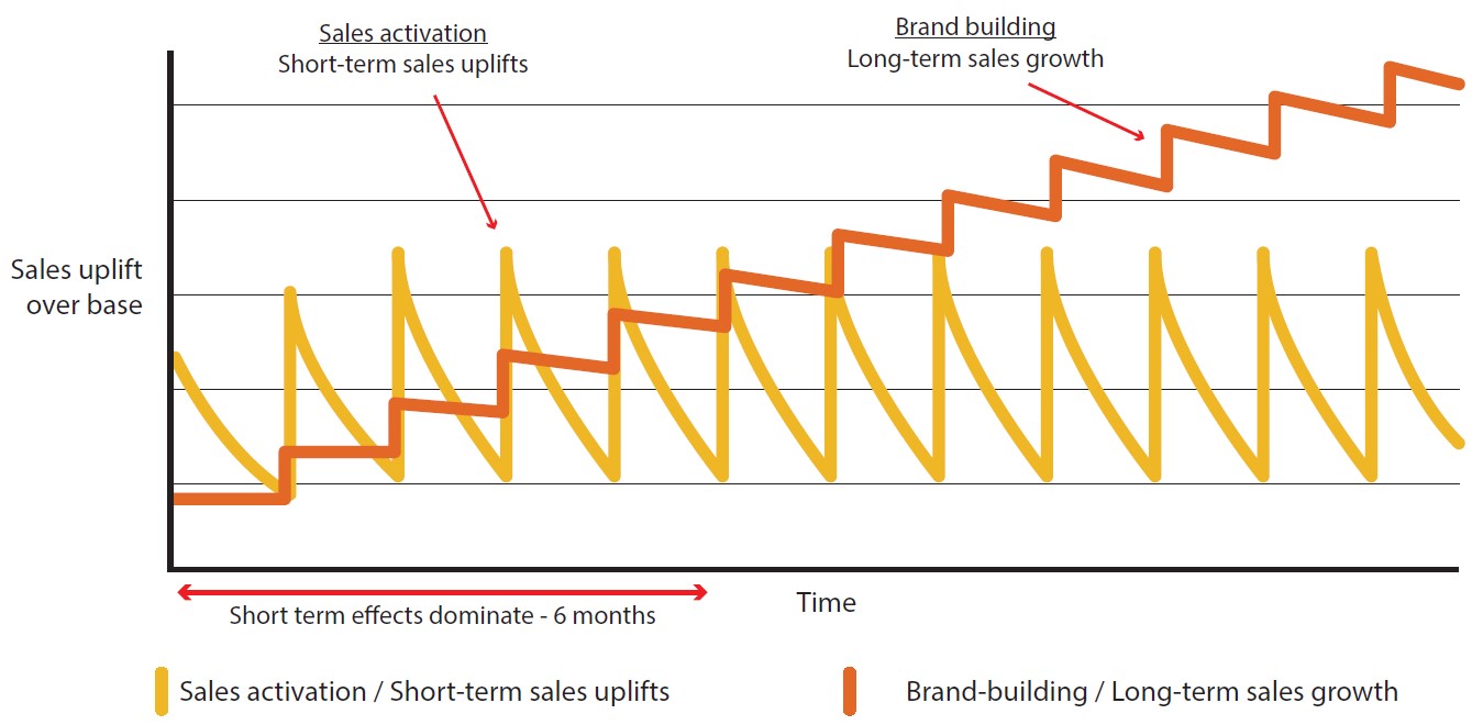 Graph showing how B2B brand-building and sales activation work over different timescales